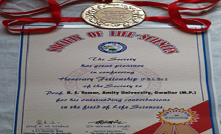 Faculty Achievement