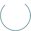 top-placement-logo