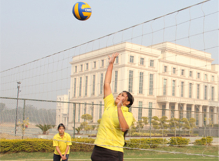 Sports